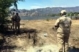 articulo relacionado