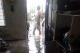 articulo relacionado