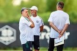 articulo relacionado