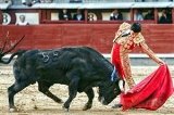 articulo relacionado