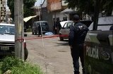 articulo relacionado