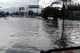 articulo relacionado