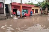 articulo relacionado