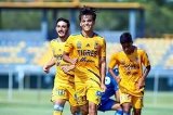 articulo relacionado
