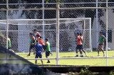 articulo relacionado