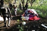 articulo relacionado