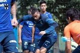 articulo relacionado