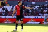 articulo relacionado