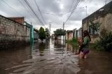 articulo relacionado