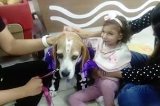 articulo relacionado