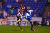 articulo relacionado