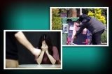 articulo relacionado