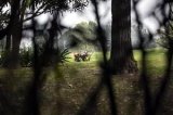 articulo relacionado