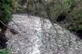 articulo relacionado