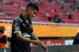 articulo relacionado