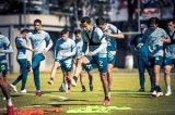 articulo relacionado