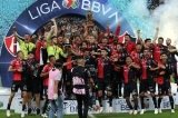 articulo relacionado