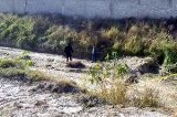 articulo relacionado