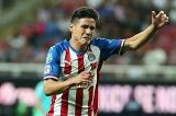 articulo relacionado