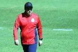 articulo relacionado