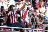 articulo relacionado