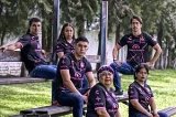 articulo relacionado