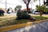articulo relacionado