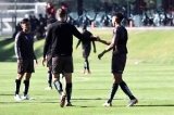 articulo relacionado
