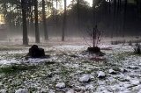 articulo relacionado