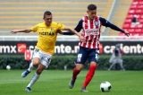 articulo relacionado