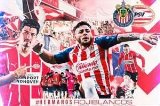 articulo relacionado