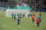 articulo relacionado