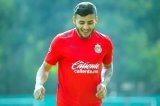 articulo relacionado