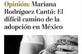 articulo relacionado