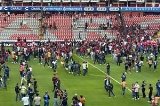 articulo relacionado