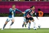 articulo relacionado
