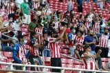 articulo relacionado