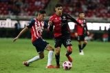 articulo relacionado