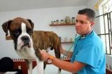 articulo relacionado