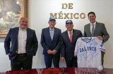 articulo relacionado