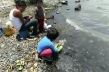 articulo relacionado