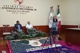 articulo relacionado