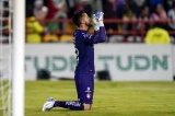articulo relacionado