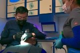 articulo relacionado