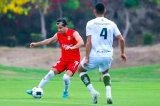 articulo relacionado