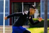 articulo relacionado
