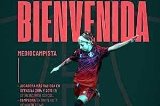 articulo relacionado