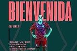 articulo relacionado