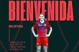 articulo relacionado