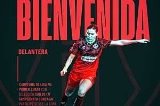 articulo relacionado